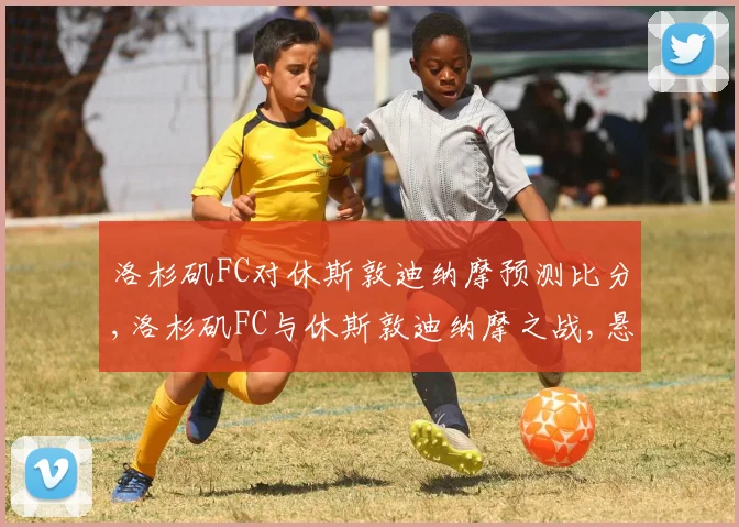 洛杉矶FC对休斯敦迪纳摩预测比分,洛杉矶FC与休斯敦迪纳摩之战,悬念重重,谁能问鼎